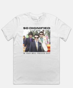 Jonas Brothers Merch shirt, Mr. Perfectly Fine shirt, funny shirt