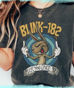 Blink 182 T-Shirt, Classic Rock Shirt, Vintage Blink 182 shirt, Retro Blink 182 Sweatshirt