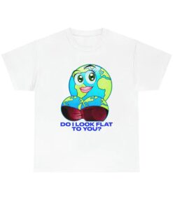 Do I Look Flat To You shirt, funny shirt