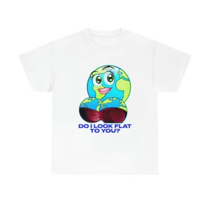 Do I Look Flat To You shirt, funny shirt