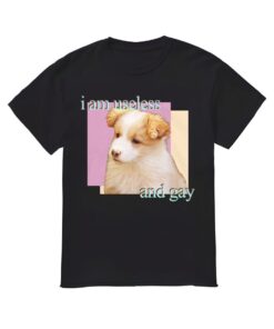 I Am Useless And Gay Shirt, I Am Useless And Gay T-shirt