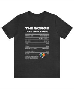 Brandi & Friends at the Gorge shirt, Lgbt shirt
