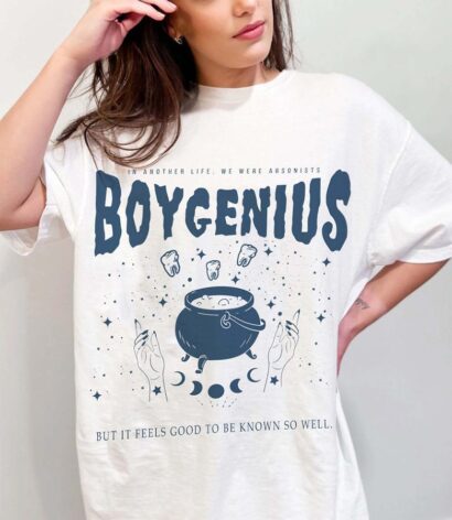 Boygenius shirt, Boygenius ReSET Tour 2023 Shirt, Boygenius Band Tour Shirt