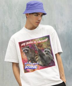 My Pain Is Chronic But My Ass Is Iconic Meme Shirt, Opossums Lover Shirt, Possums Shirt