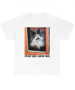 I'm Not Sure I Can Be Fixed shirt