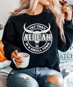 Try That In A Small Town Sweatshirt, Jason Aldean Sweatshirt, American Flag Quote shirt