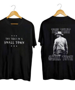 Try That In A Small Town shirt, Jason Aldean Tshirt