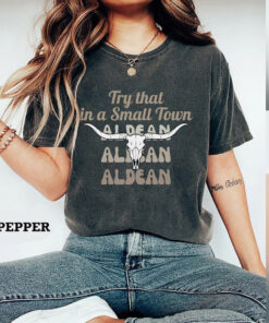 Jason Aldean Shirt, Jason Aldean Try that in a small town Comfort Colors