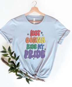 Not Gonna Hide My Pride Shirt, LGBTQ Shirt, Funny Gay Pride Shirt, Human Rights