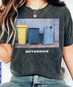 Boygenius Vintage T-Shirt, Boygenius Shirt