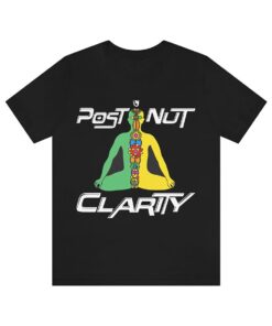 Post Nut Clarity shirt, Funny shirt, Trending shirt