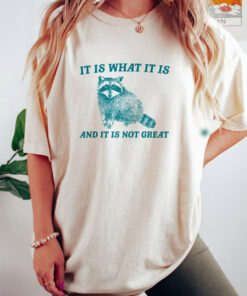 It Is What It Is And It Is Not Great Shirt, Raccoon Meme T-Shirts