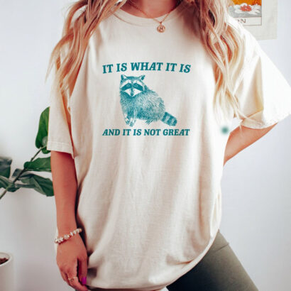 It Is What It Is And It Is Not Great Shirt, Raccoon Meme T-Shirts