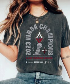 Las Vegas Aces Back 2 Back Shirt, 2023 WNBA Champions Shirt , Las Vegas Aces Back To Back Shirt