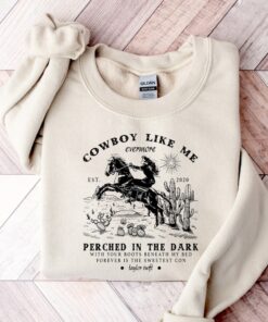 Cowboy Like Sweatshirt, You're a cowboy like me Cowboy Crewneck Shırt, Folklore Merch Cowgirl Shirt