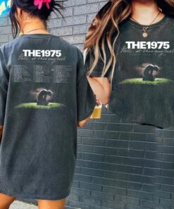 The 1975 Album Shirt, The 1975 At their Very Best Shirt, The 1975 Album Sweatshirt, The 1975 Shirt