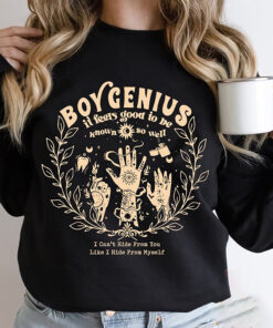 Boygenius shirt, Boygenius Band merch Shirt, Save A Horse Ride A Cowboy shirt