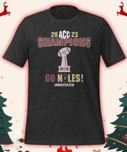 FSU ACC Championship TShirt, Florida State Seminoles shirt, Florida State 2023 Champs