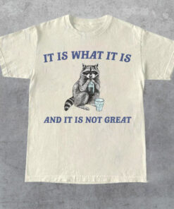 It Is What It Is And It Is Not Great Vintage T Shirt, Funny Raccoon Shirt, Meme T Shirt