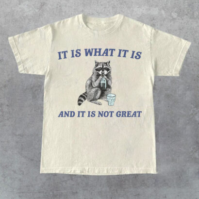 It Is What It Is And It Is Not Great Vintage T Shirt, Funny Raccoon Shirt, Meme T Shirt