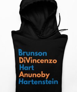 Knicks Hoodie, NYK Fans Sweatshirt, Knicks Shirt, NY Basketball Shirt, Top,Brunson DiVincenzo Hart Anunoby Hartenstein Tee