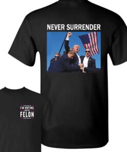 Trump Assassination Attempt T-Shirt, Make America Great Again Shirt, Attack to Trump Shirt, Trump Rally Shirt