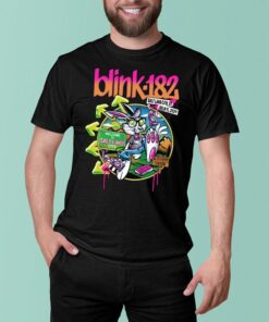 Blink 182 Salt Lake City shirt, Blink 182 t-shirt