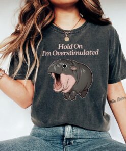 Moo Deng Shirt, Hold On I'm Overstimulated Shirt, Hippo Moo Deng Shirt, Moo Deng Sweatshirt, Cute Moo Deng Shirt, Hippo Lover Shirt