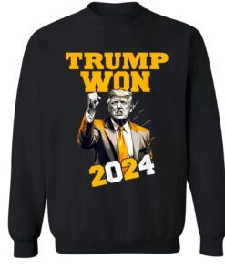 Trump Won 2024 T-Shirt Hoodie Sweatshirt, Celebrate 47th President Victory, Patriotic Trump Election Inauguration Design, Donald Trump Vance 2025