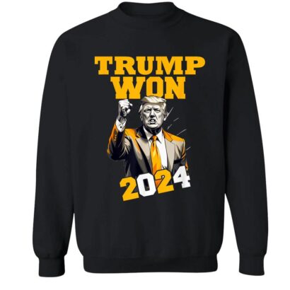 Trump Won 2024 T-Shirt Hoodie Sweatshirt, Celebrate 47th President Victory, Patriotic Trump Election Inauguration Design, Donald Trump Vance 2025