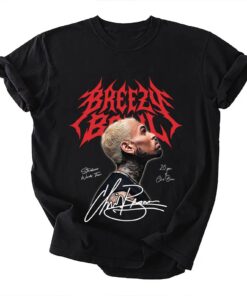 Breezy Shirt, Breezy Bowl 2025 Tour Merch Tee, Vintage Washed Look, Unisex R&B Fan Gift, Concert Streetwear