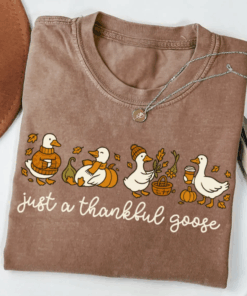 Thanksgiving Goose Shirt, Thankful Fall Cozy T-Shirt, Funny Cute Pumpkin Spice Top, Coffee Weather Leaves Tee, Gift For Mom