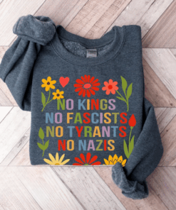 We The People No Kings In America Shirt, Protest Democracy Tee, Anti-MAGA T-Shirt, Patriotic Political Top, American Democracy Sweatshirt