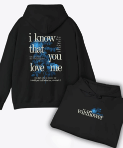 Song Inspired Lyrics Design Hoodie, Concert Outfit