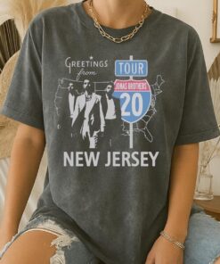 20th Anniversary Jonas Brothers T-Shirt, Living The Dream Tour 2025 Fan Tee, I Love Hot Dads Shirt, The Album Concert Gift, Gift For Fan