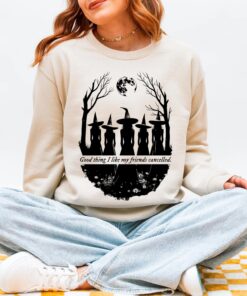 I Like My Friends Cancelled Witch Sweatshirt, Taylor Halloween Shirt, Showgirl Lyrics Top, Witchy Coven, Gift for Music Fan, Feminist, Girls