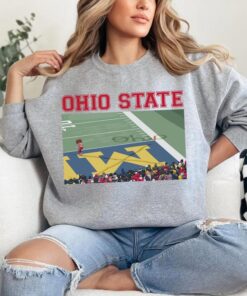 Erase The M Shirt, Brutus Ohio State Snow Fan Football Shirt, Brutus vs Michigan Game Day T-shirt