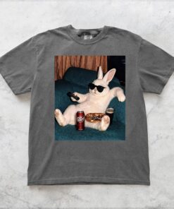 Vintage Cat Dr Pepper T-Shirt, Retro Dr Pepper Sweatshirt & Hoodie, Gift for Dr Pepper Lover