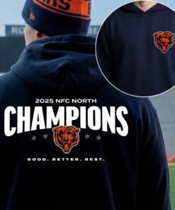 NFC North Champions Gift, Chicago Football Sweatshirt, Bear Down Hoodie, Chicago Fan T-Shirt, Chicago Bear Style NFC North Champions Shirt