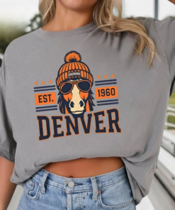 Denver Football Shirt, Denver Gift, Vintage Denver Sweatshirt, T-Shirt & Hoodie