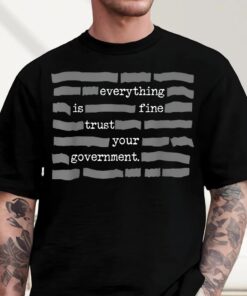 Everything Is Fine Trust Your Government Shirt, Funny Sarcastic T-shirt, Deep State Redatacted Conspiracy Theory Gift, Essential Tee
