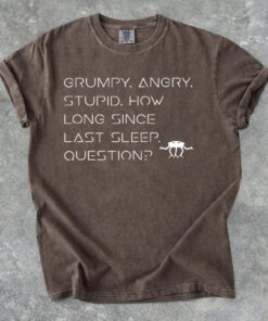 Grumpy Rocky Quote Vintage T-Shirt, Project Hail Mary Rocky Inspired Sci Fi Shirt, Bookish Gift