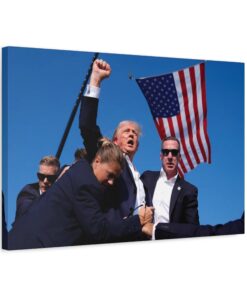 Trump Poster Photo, Donald Trump Art Print, Trumps Fight, Decorating Political