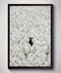 Black Sheep Among White Sheep Canvas Art Modern Minimalist Unique Wall Decor