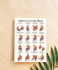 Chair Stretches for Seniors, Seated Stretch Chart, Gentle Low Impact Workout Art