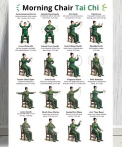 Chair Tai Chi Exercise Poster Seated Taiji Workout Chart Senior Yoga Wall Art