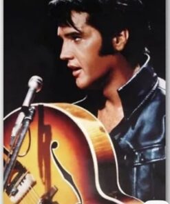 Elvis Presley The King of Rock 'n' Roll