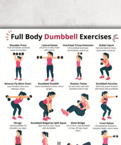 Full Body Dumbbell Workout Chart, Home Exercise Poster, Beginner Fitness Art