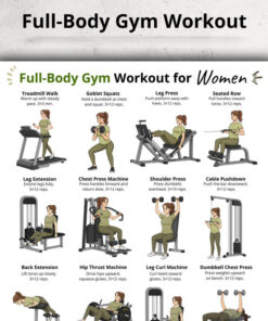 Full Body Gym Workout for Women, Exercise Chart, Machine & Dumbbell Wall Art