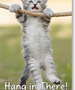 Hang in There Cat Poster Motivational Posters Inspirational Encouragement Wall Poster Cute Funny Kitten Animal Cute Canvas